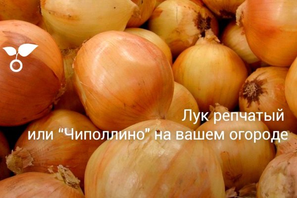 Прямая ссылка на кракен