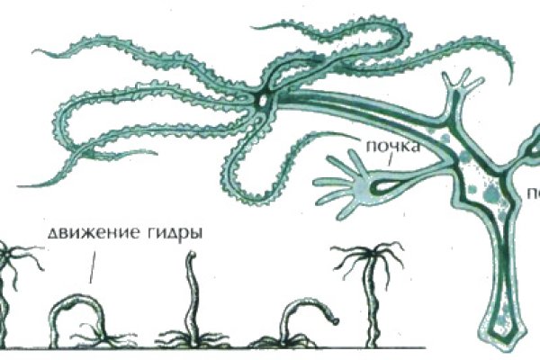 Кракен маркетплейс официальный сайт